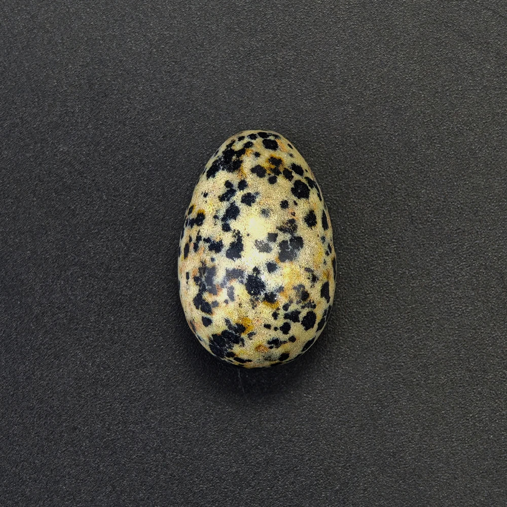 Natural Crystal Stone Egg Polished Agate Quartz Obsidian Minerale Jewelry Transfer Home Decoration Healing Craft DIY Gift Toy